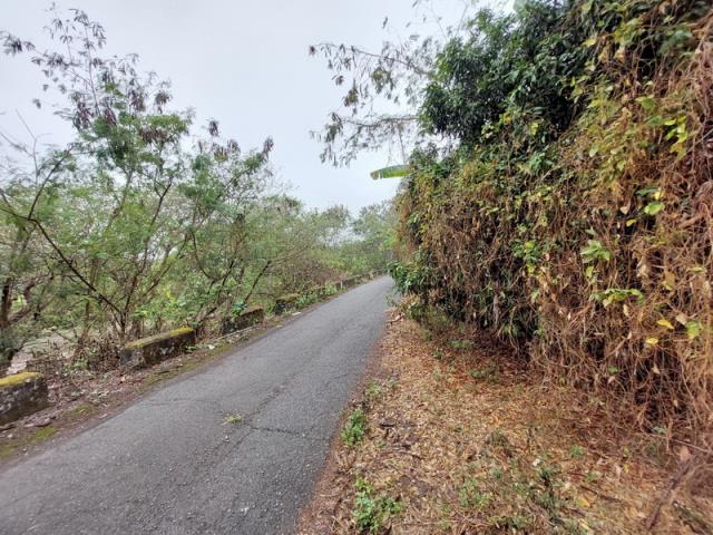 嘉義番路農地-13