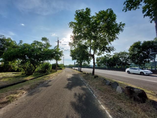 大內農地-2