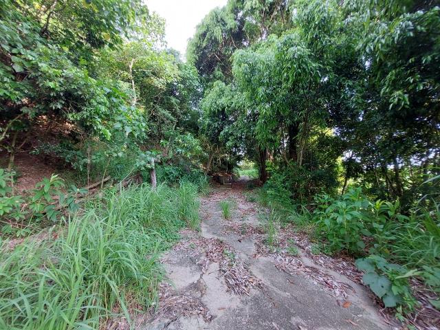 大內農地-7