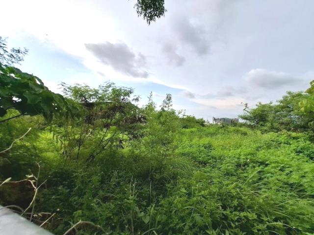 永康建地-3