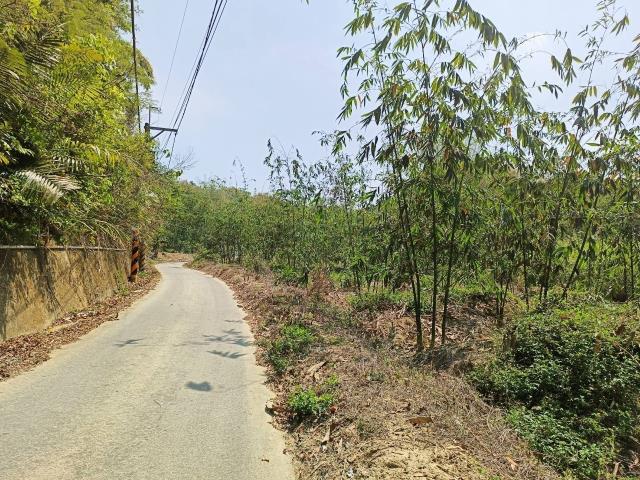 左鎮農地-4
