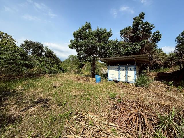 大內農地-3