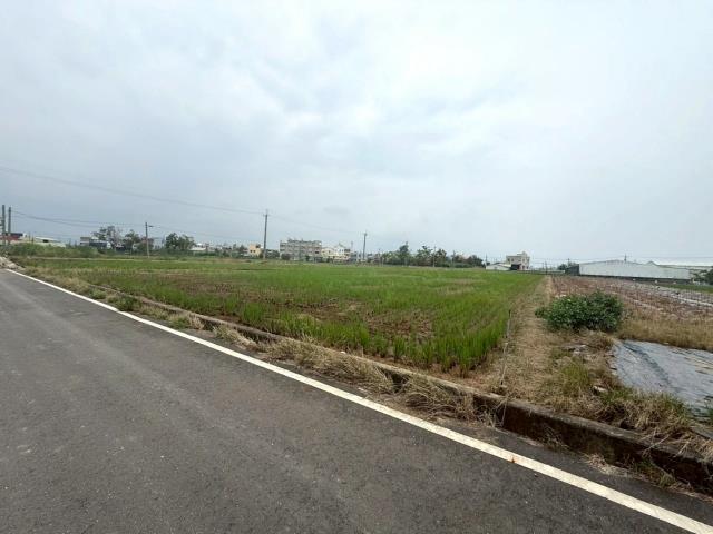 新營農地-0