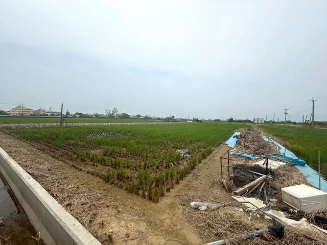 新營農地-3