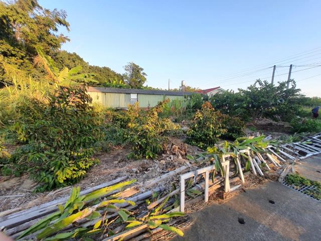 台南佳里農地-1