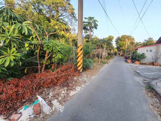 台南佳里農地-8