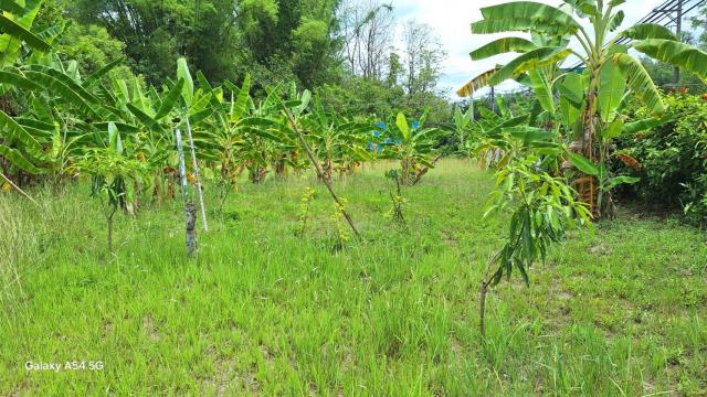 台南左鎮農地-5