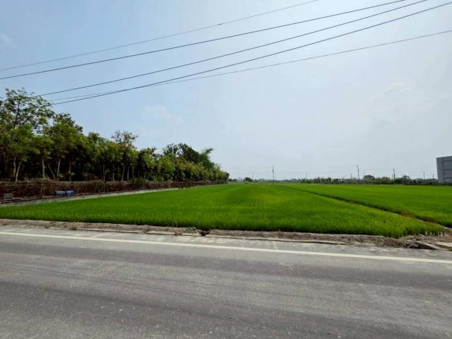 台南六甲農地-0