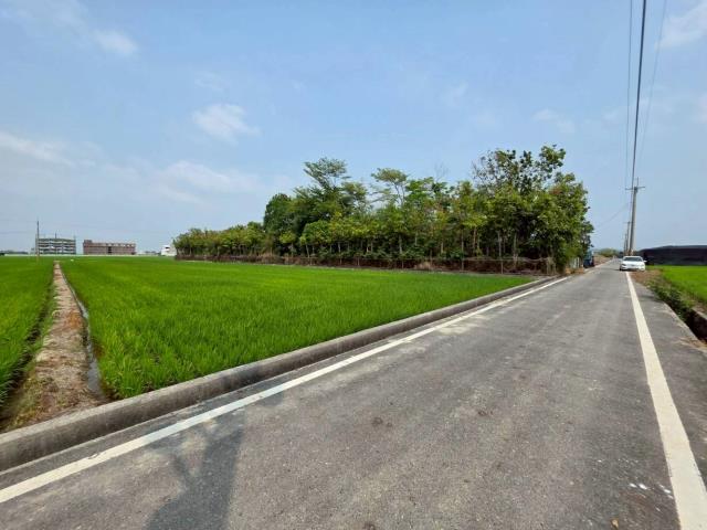 台南六甲農地-8